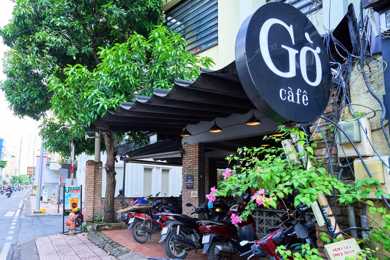 Gờ cafe - Đào Duy Anh