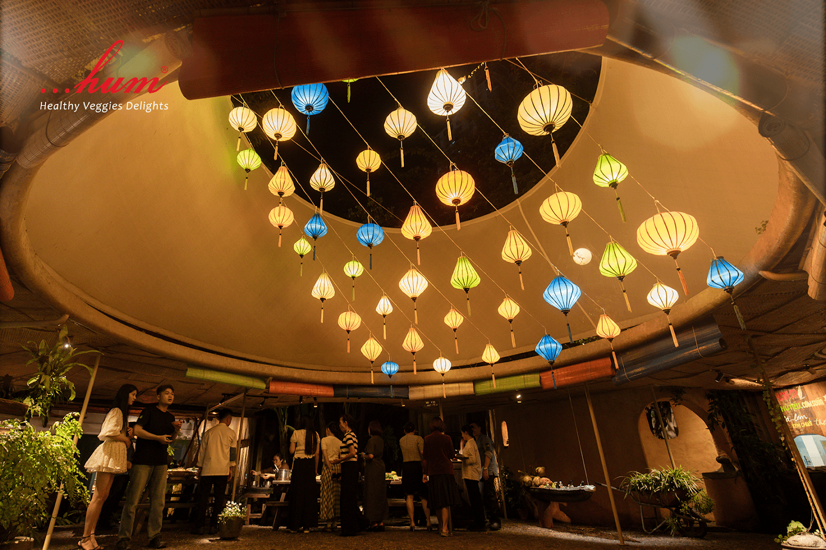 Hum Garden - Healthy Veggies Delights