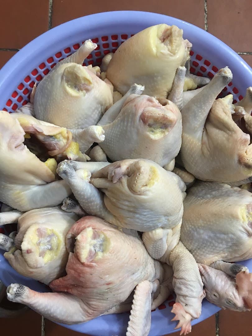 Cơm Ngon Bình Dân Vạn